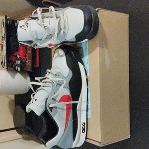 Nike ACG Gray and Red Athletic Shoes
